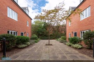 Communal Garden- click for photo gallery